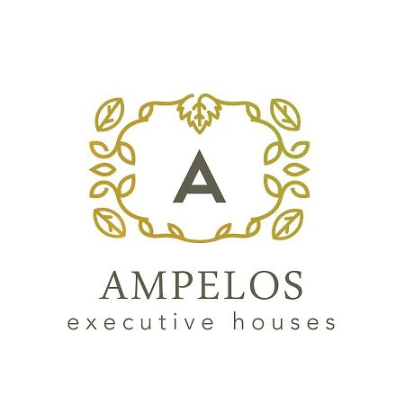 Ampelos Executive Houses Пиргос Экстерьер фото