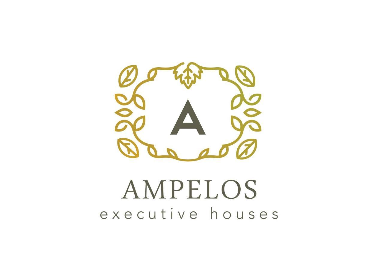 Ampelos Executive Houses Пиргос Экстерьер фото